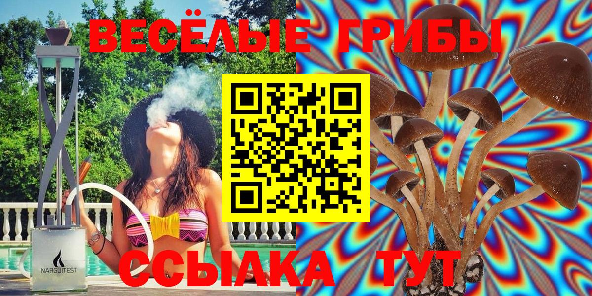 Галлюциногенные грибы GOLDEN TEACHER  Вход с VPN  Гусиноозёрск 