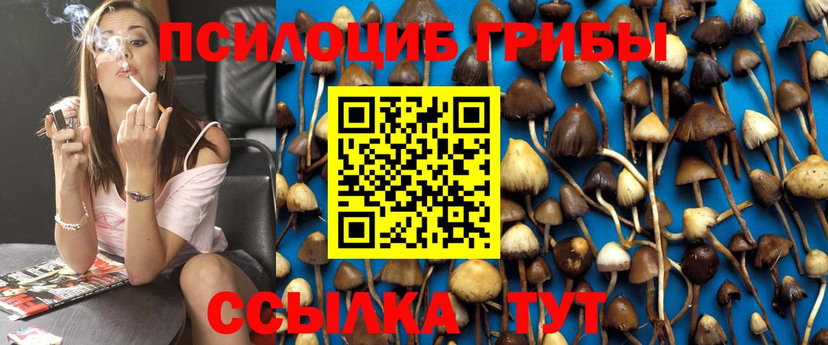 Псилоцибиновые грибы GOLDEN TEACHER Гусиноозёрск